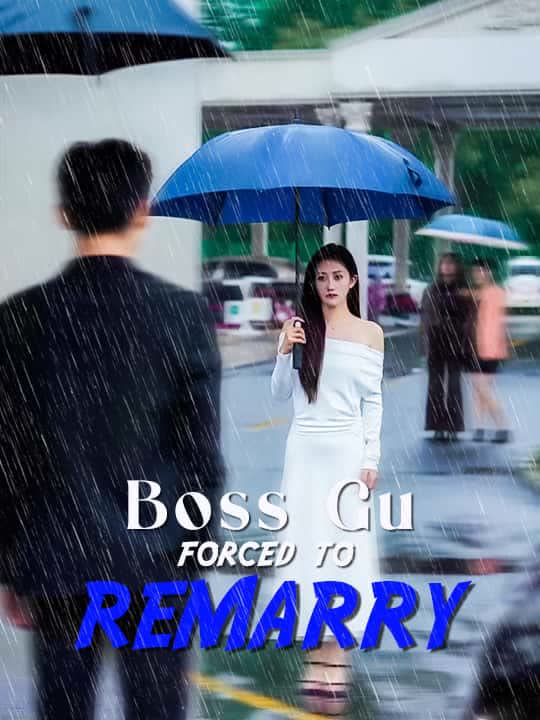 Boss Gu Forced to Remarry
